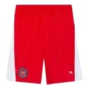 Sportovní fotbalové šortky „Red“ 641609TJV056540